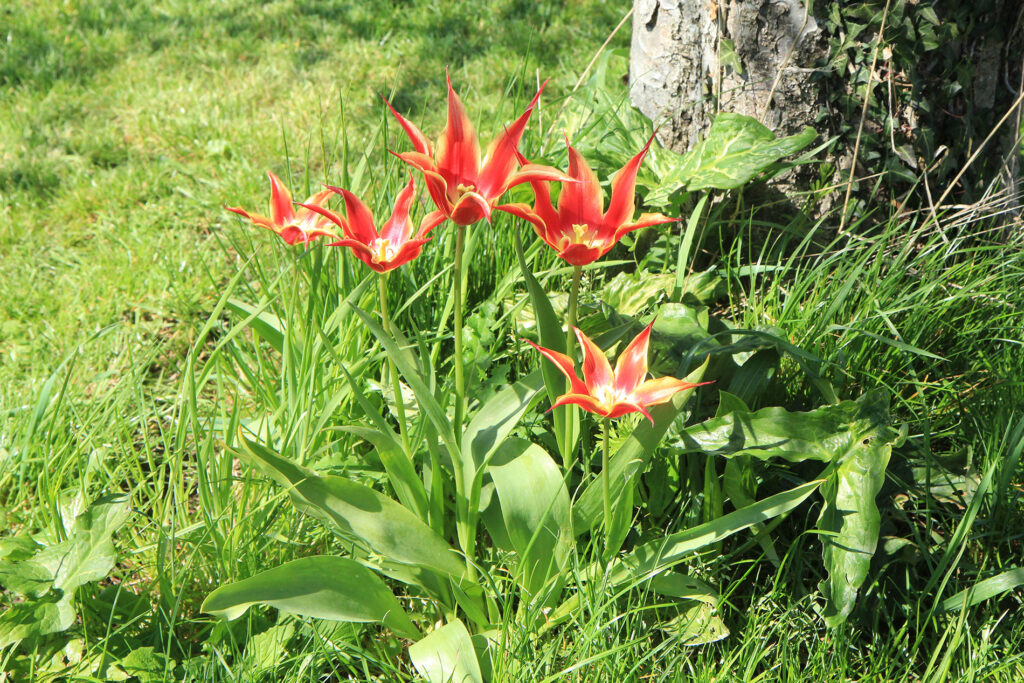 Gite Nature Clisson 3